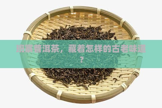 班寨普洱茶,藏着怎样的古老味道? 班寨普洱茶,藏着怎样的古老味道?