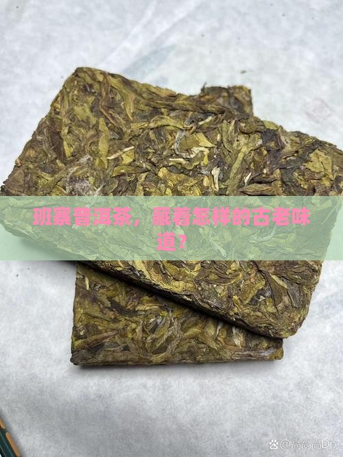 班寨普洱茶,藏着怎样的古老味道? 班寨普洱茶,藏着怎样的古老味道?