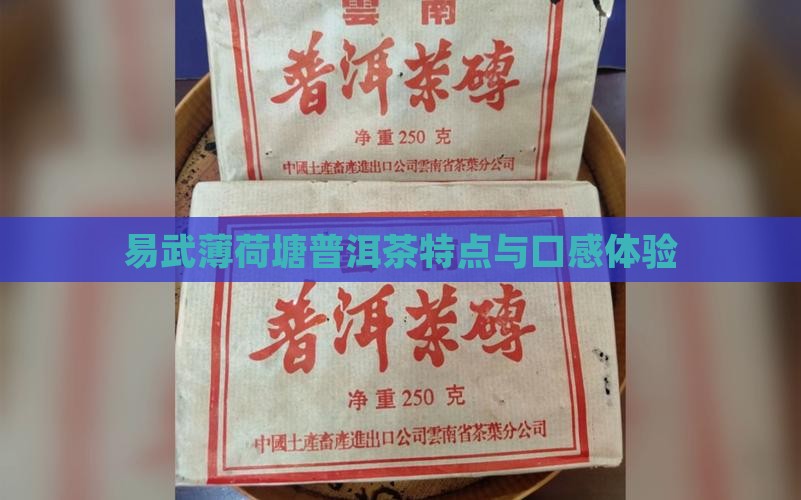 易武薄荷塘普洱茶特点与口感体验 易武薄荷塘普洱茶特点与口感体验