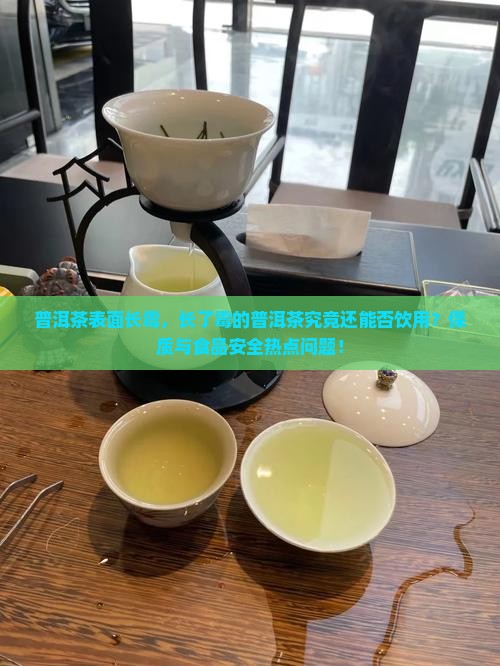 普洱茶表面长霉,长了霉的普洱茶究竟还能否饮用?保质与食品安全热点问题! 普洱茶表面长霉,长了霉的普洱茶究竟还能否饮用?保质与食品安全热点问题!