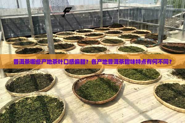 普洱茶哪些产地茶叶口感偏甜？各产地普洱茶甜味特点有何不同？