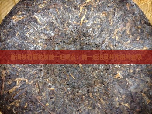 普洱茶和菊花茶能一起喝么：能一起泡及其作用与宜忌