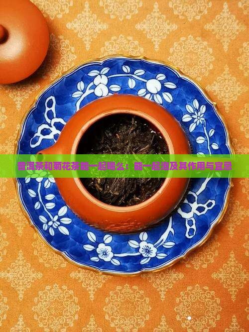 普洱茶和菊花茶能一起喝么：能一起泡及其作用与宜忌