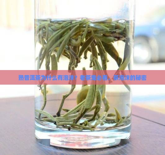 熟普洱茶为什么有泡沫？老茶鬼必看，茶泡沫的秘密