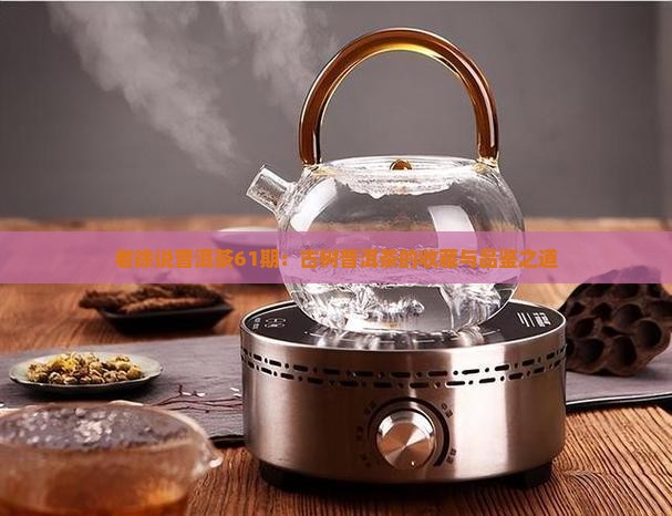 老徐说普洱茶61期：古树普洱茶的收藏与品鉴之道