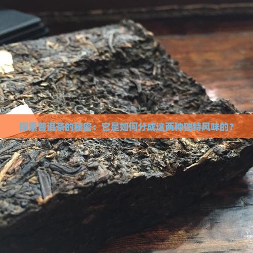 探索普洱茶的秘密：它是如何分成这两种独特风味的？
