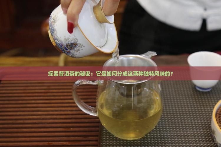 探索普洱茶的秘密：它是如何分成这两种独特风味的？