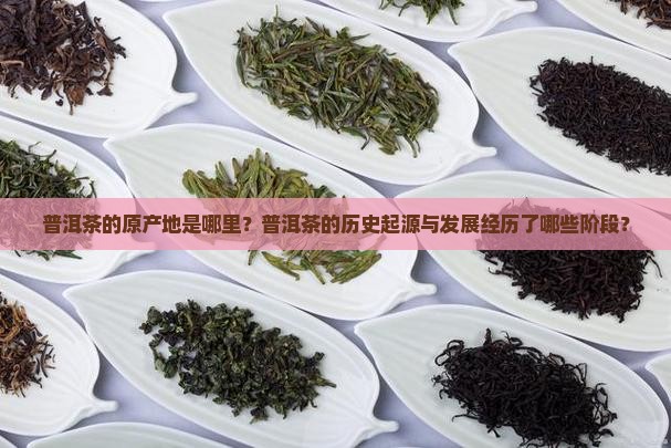 普洱茶的原产地是哪里？普洱茶的历史起源与发展经历了哪些阶段？