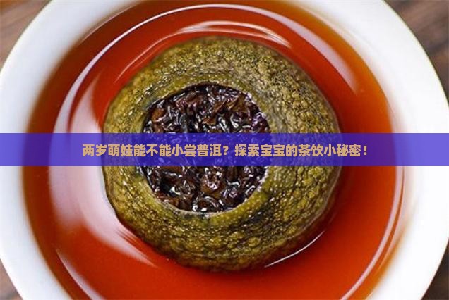 两岁萌娃能不能小尝普洱？探索宝宝的茶饮小秘密！