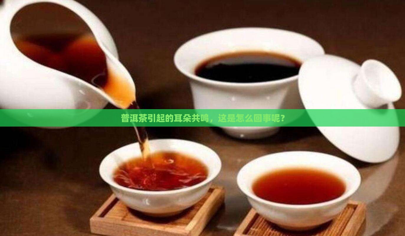 普洱茶引起的耳朵共鸣，这是怎么回事呢？