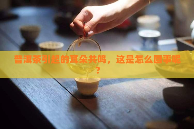 普洱茶引起的耳朵共鸣，这是怎么回事呢？