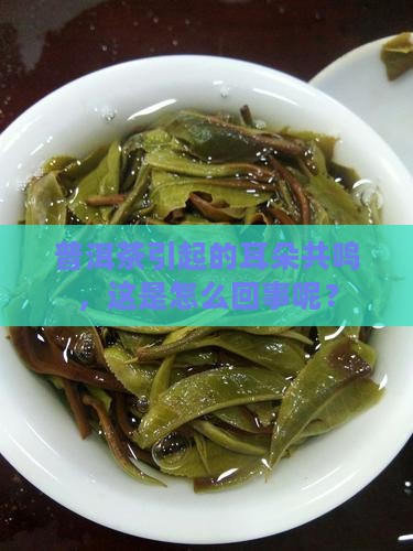 普洱茶引起的耳朵共鸣，这是怎么回事呢？