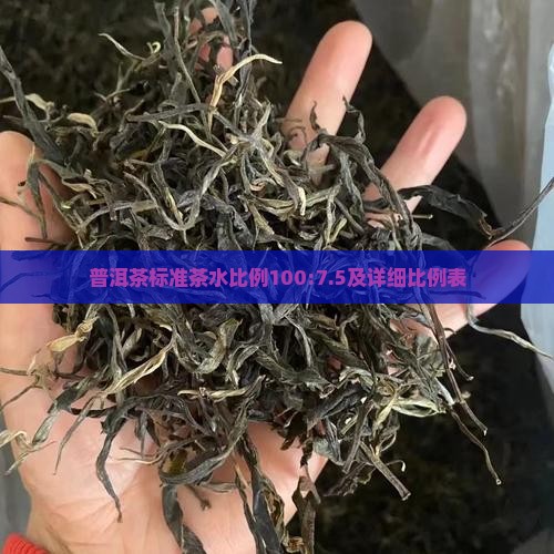 普洱茶标准茶水比例100:7.5及详细比例表