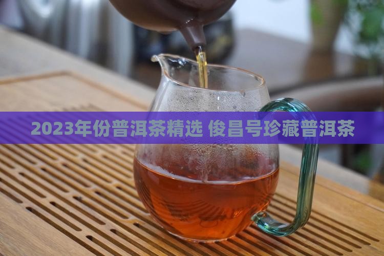 2023年份普洱茶精选 俊昌号珍藏普洱茶