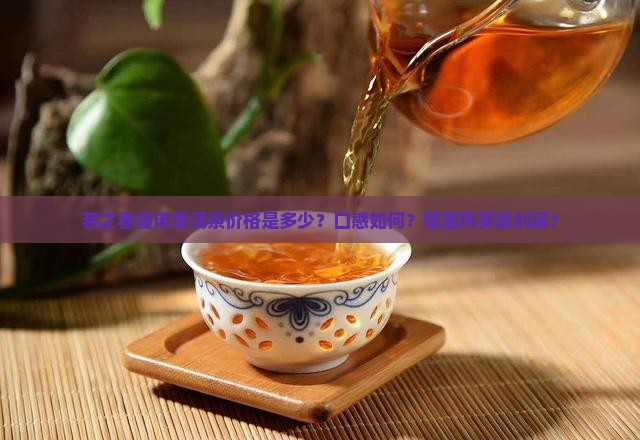 茗之春曼诺普洱茶价格是多少？口感如何？哪里购买最划算？
