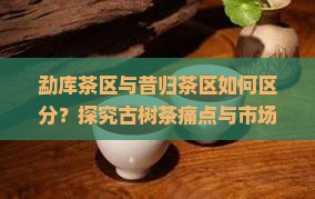 勐库茶区与昔归茶区如何区分？探究古树茶痛点与市场热词新趋势