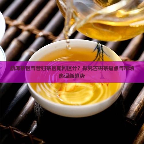 勐库茶区与昔归茶区如何区分？探究古树茶痛点与市场热词新趋势