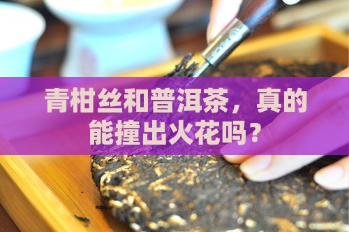 青柑丝和普洱茶，真的能撞出火花吗？
