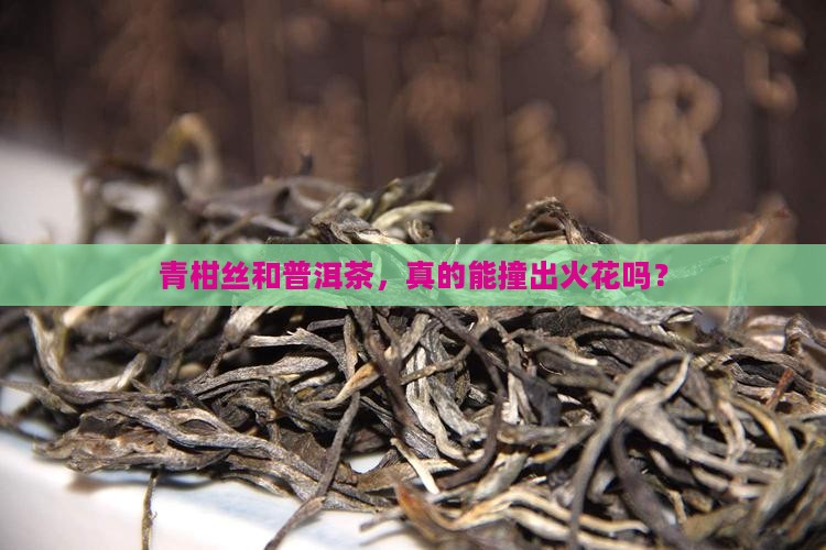 青柑丝和普洱茶，真的能撞出火花吗？