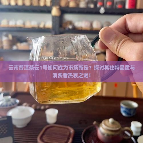 云南普洱茶云1号如何成为市场新宠？探讨其独特品质与消费者热衷之谜！