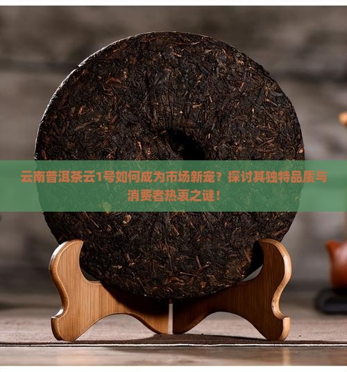云南普洱茶云1号如何成为市场新宠？探讨其独特品质与消费者热衷之谜！