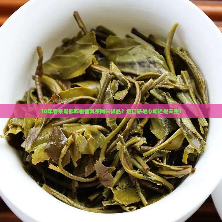 10年老茶鬼都咋看普洱茶同兴极品？这口感是心动还是失望？