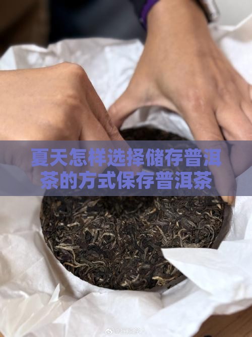 夏天怎样选择储存普洱茶的方式保存普洱茶
