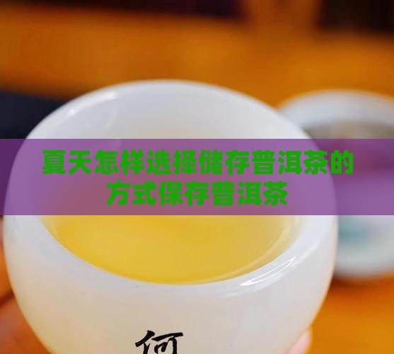 夏天怎样选择储存普洱茶的方式保存普洱茶