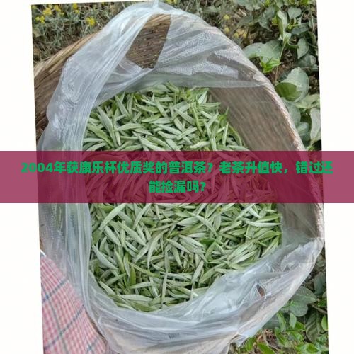 2004年获康乐杯优质奖的普洱茶？老茶升值快，错过还能捡漏吗？