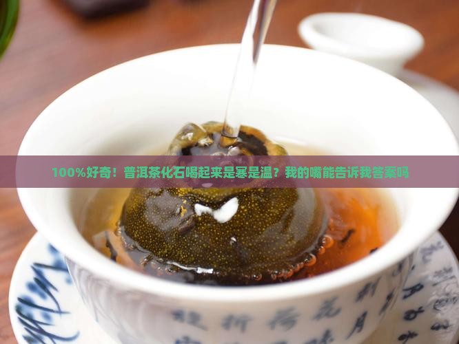 100%好奇！普洱茶化石喝起来是寒是温？我的嘴能告诉我答案吗