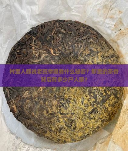 村里人都说老班章藏着什么秘密？那里的茶香背后有多少户人家？