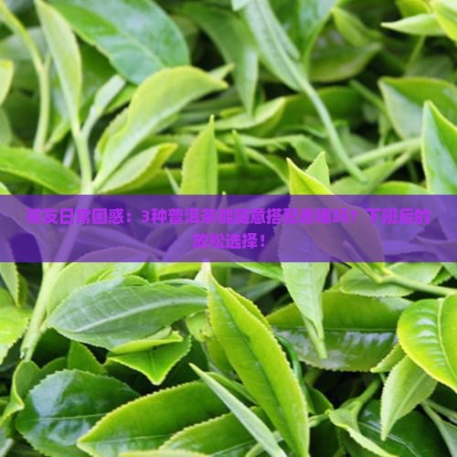 茶友日常困惑：3种普洱茶能随意搭配着喝吗？下班后的放松选择！