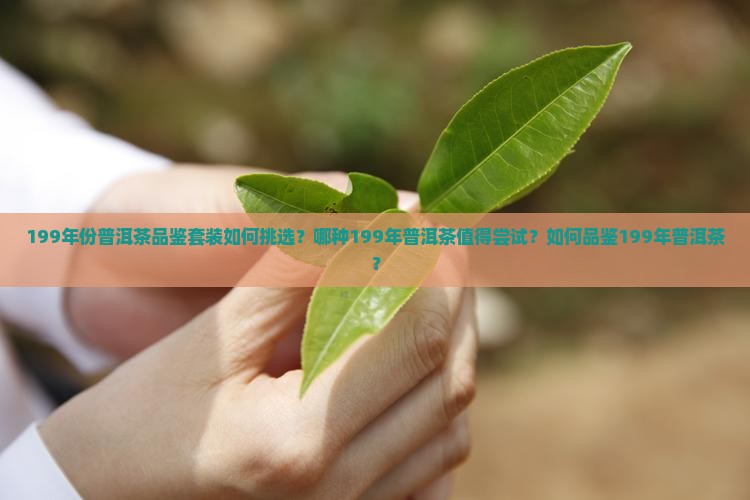 199年份普洱茶品鉴套装如何挑选？哪种199年普洱茶值得尝试？如何品鉴199年普洱茶？