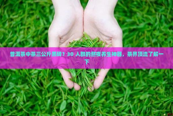 普洱茶中茶三公斤黑砖？30+人群的熬夜养生神器，茶界顶流了解一下