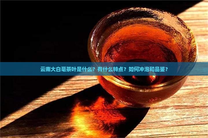 云南大白毫茶叶是什么？有什么特点？如何冲泡和品鉴？