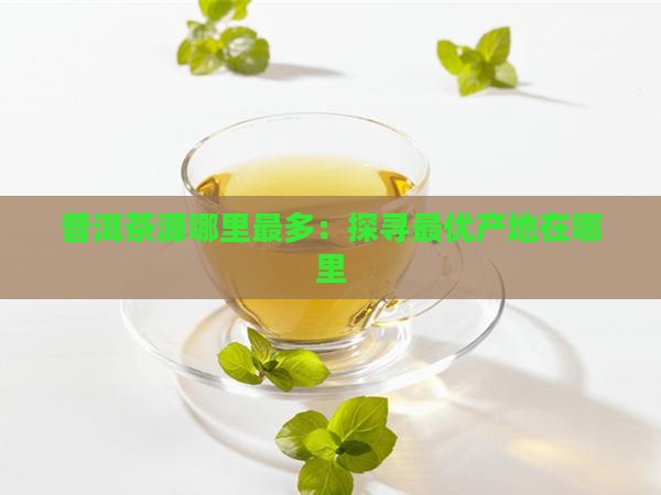 普洱茶源哪里最多：探寻最优产地在哪里
