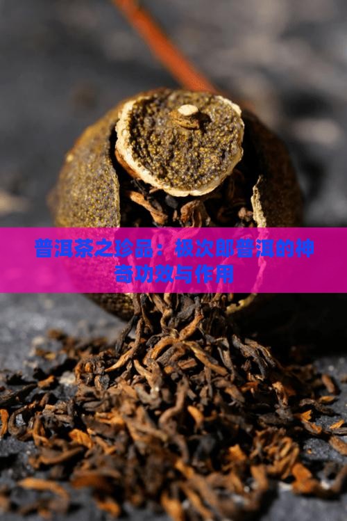 普洱茶之珍品：极次郎普洱的神奇功效与作用