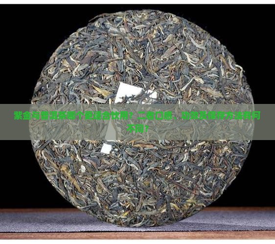 紫金与普洱茶哪个更适合饮用？二者口感、功效及保存方法有何不同？