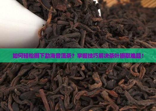 如何轻松掰下勐海普洱茶？掌握技巧解决茶叶掰取难题！