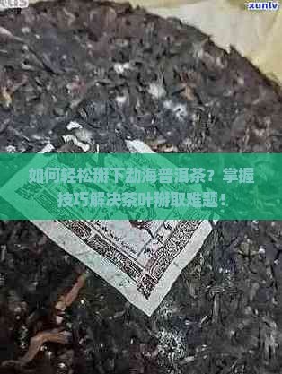 如何轻松掰下勐海普洱茶？掌握技巧解决茶叶掰取难题！