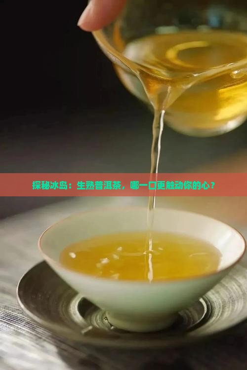 探秘冰岛：生熟普洱茶，哪一口更触动你的心？