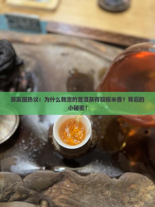 茶友圈热议：为什么我泡的普洱茶有股糯米香？背后的小秘密！