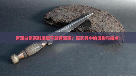 普洱白毫茶到底算不算普洱茶？探究其中的区别与痛点！