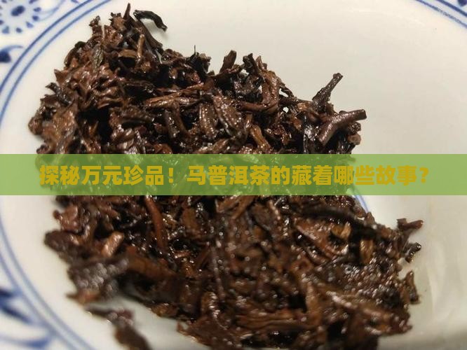 探秘万元珍品！马普洱茶的藏着哪些故事？