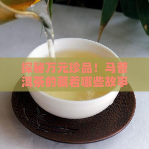 探秘万元珍品！马普洱茶的藏着哪些故事？