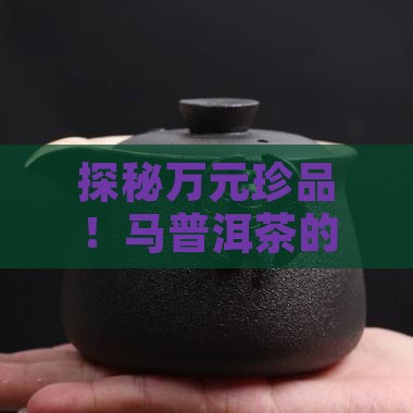 探秘万元珍品！马普洱茶的藏着哪些故事？