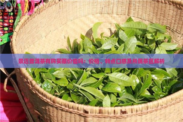 景迈普洱茶有购买藏价值吗：价格、特点口感及所属茶区解析