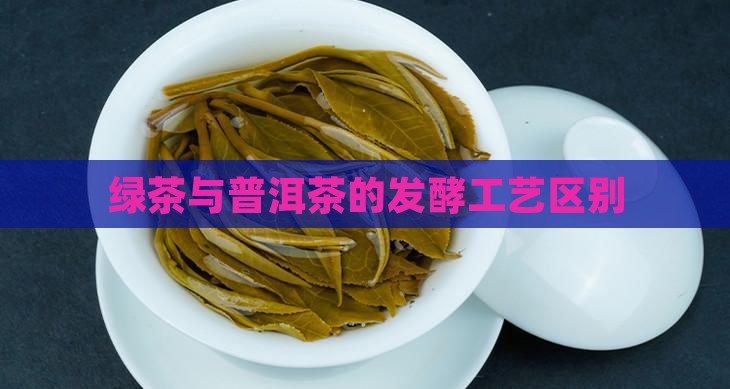 绿茶与普洱茶的发酵工艺区别