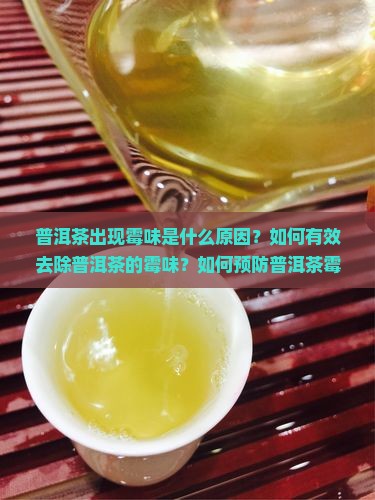 普洱茶出现霉味是什么原因？如何有效去除普洱茶的霉味？如何预防普洱茶霉变？