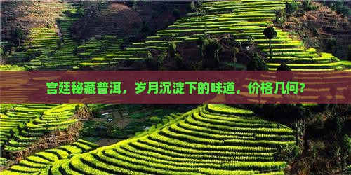 宫廷秘藏普洱，岁月沉淀下的味道，价格几何？